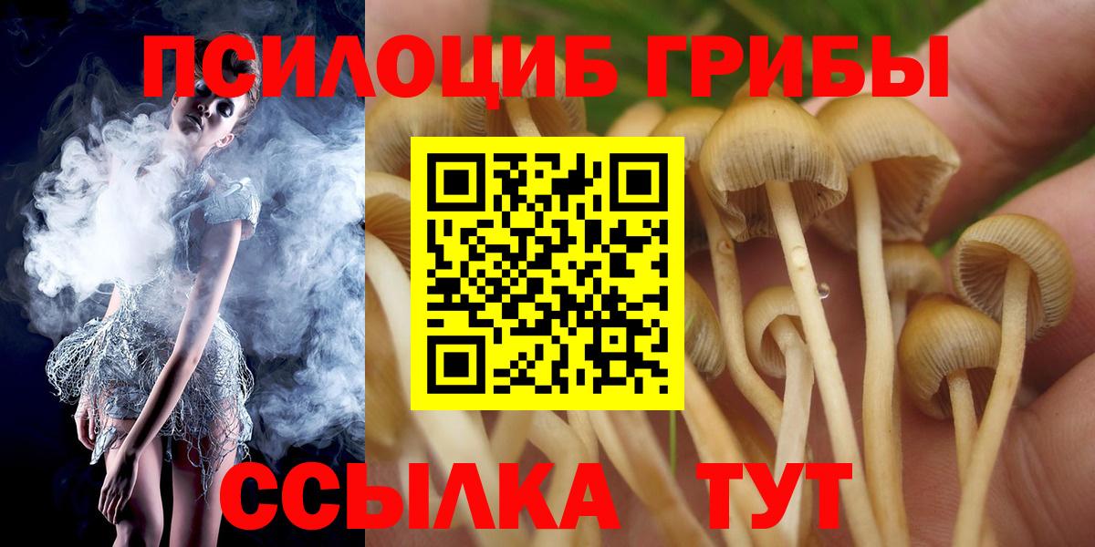 цены наркотик  Галлюциногенные грибы GOLDEN TEACHER  Вход с VPN  Кропоткин 