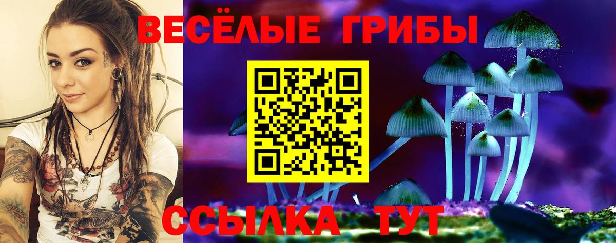 Галлюциногенные грибы прущие грибы Кропоткин
