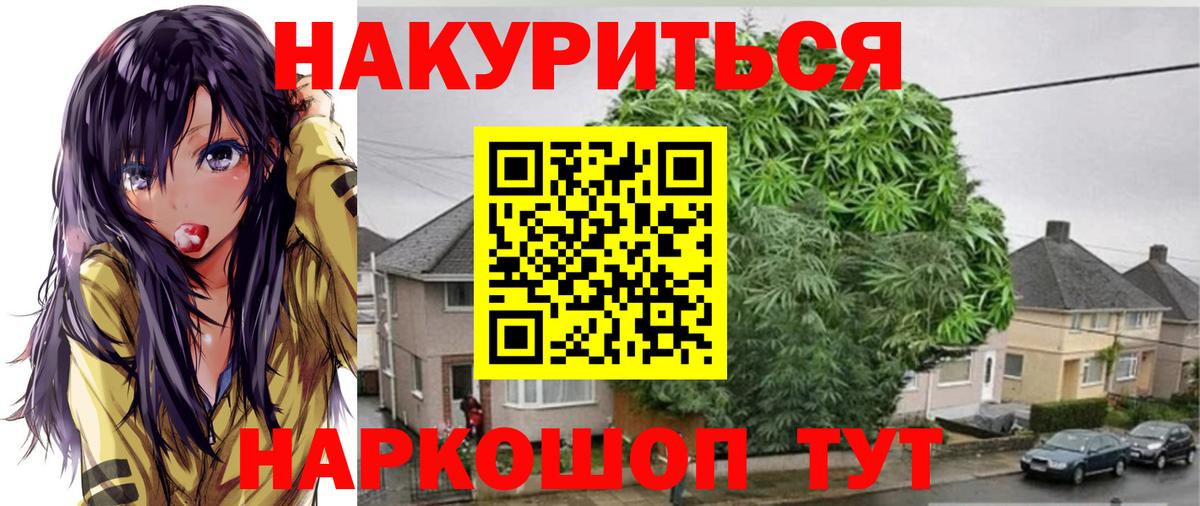 Шишки марихуана гибрид  МАРИХУАНА Bruce Banner  Кропоткин  Вход с VPN  Конопля Ganja 